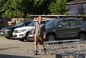 Fruehstueck 2017 -51