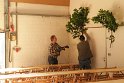 Fruehstueck 2017 -7