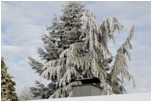 Winter 2017